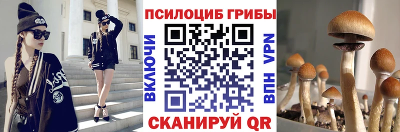 Галлюциногенные грибы GOLDEN TEACHER  Углич 